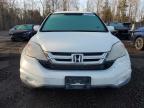 2010 HONDA CR-V EX for sale at Copart ON - COOKSTOWN