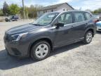 York Haven, PA에서 판매 중인 2023 Subaru Forester  - Rear End
