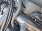 2023 Honda Cmx500  for Sale in Bakersfield, CA - Vandalism
