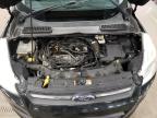 2014 Ford Escape Se for Sale in Blaine, MN - Front End