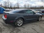 2008 Ford Mustang  en Venta en Marlboro, NY - All Over