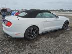 2018 Ford Mustang  na sprzedaż w Homestead, FL - Minor Dent/Scratches