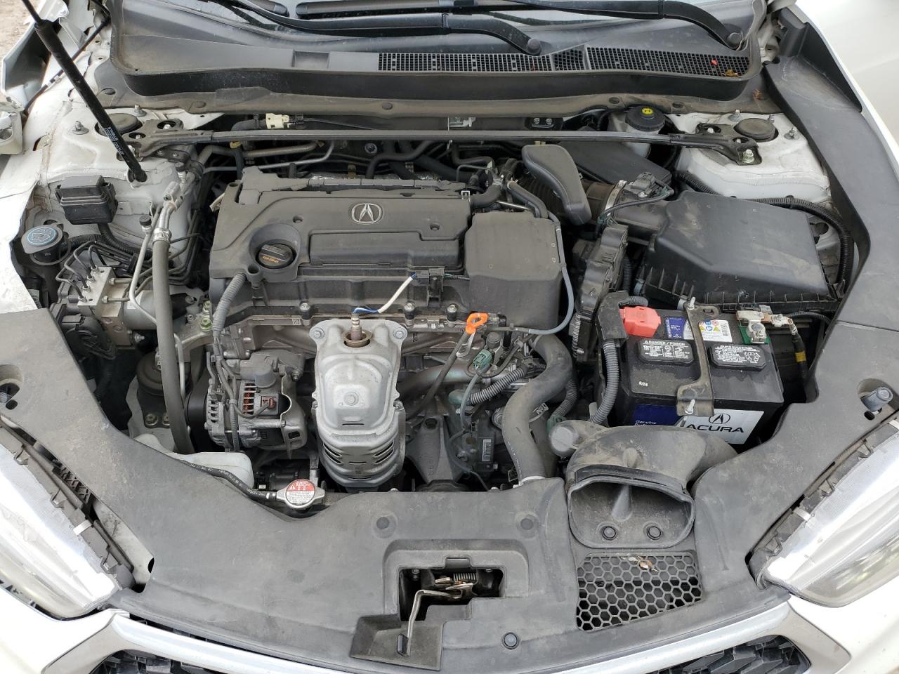 2020 Acura Tlx VIN: 19UUB1F3XLA005175 Lot: 51380855