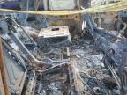 2017 Ford Expedition Xlt de vânzare în Lexington, KY - Burn