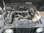 2002 Jeep Wrangler / Tj Sahara იყიდება Woodhaven-ში, MI - Minor Dent/Scratches