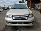 2010 Lexus Gx 460 Premium na sprzedaż w Denver, CO - Front End
