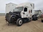 Amarillo, TX에서 판매 중인 2021 Freightliner Cascadia 126 Semi Truck - All Over