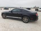 2012 Ford Mustang  للبيع في New Braunfels، TX - Hail
