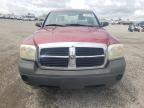 2007 Dodge Dakota St na sprzedaż w Earlington, KY - Hail