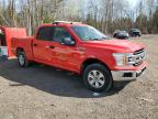 2019 FORD F150 SUPERCREW à vendre chez Copart ON - COOKSTOWN