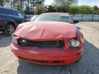 2009 Ford Mustang  zu verkaufen in Seaford, DE - Front End