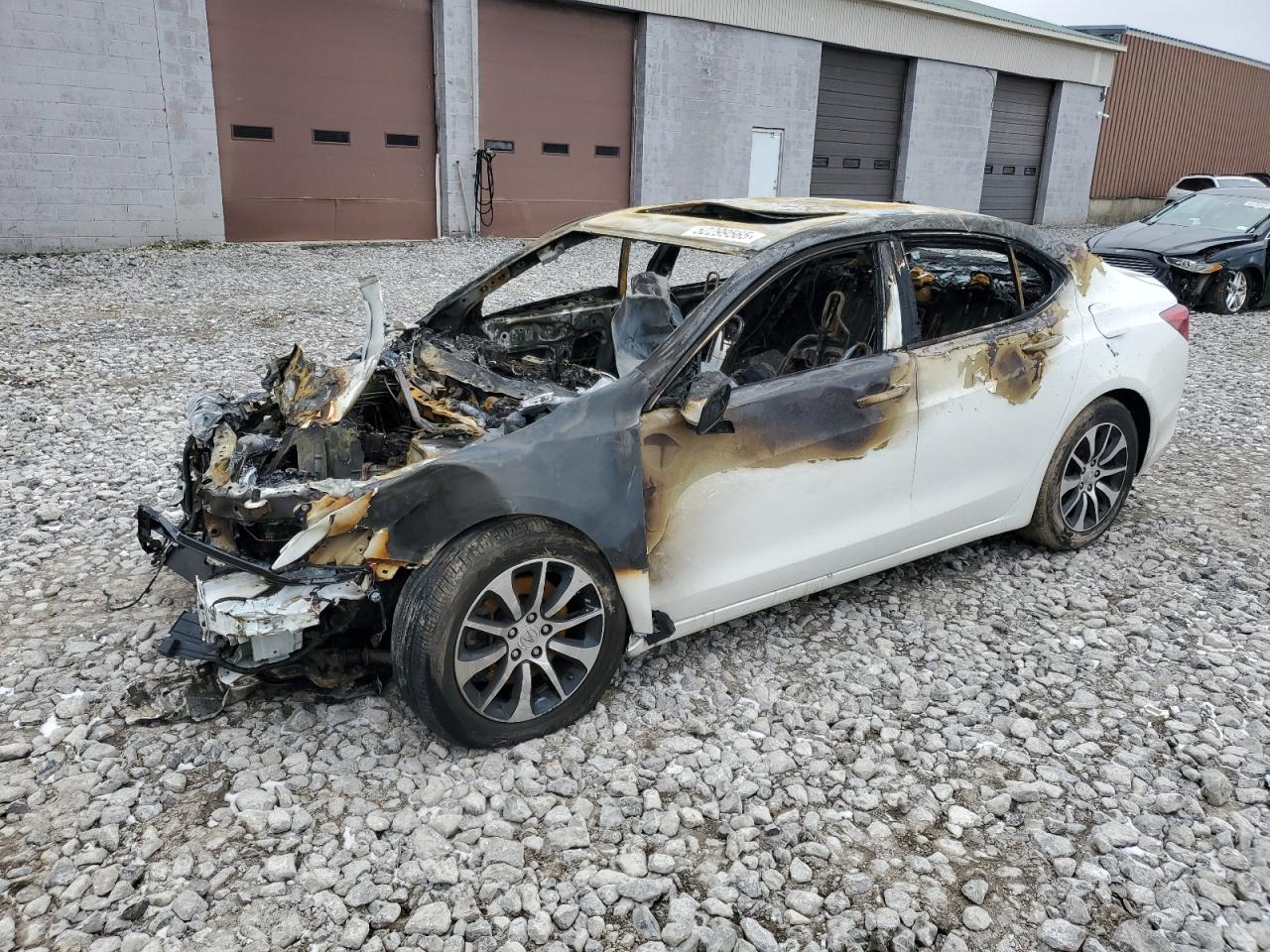 2017 Acura Tlx Tech for Sale in Angola, NY - Burn