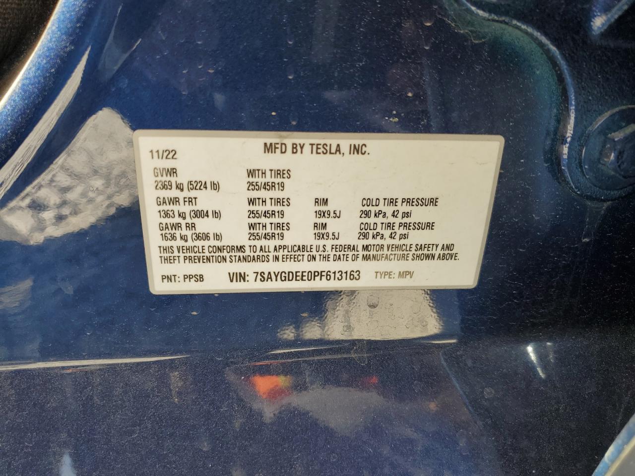 2023 Tesla Model Y VIN: 7SAYGDEE0PF613163 Lot: 53688865