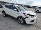 Madisonville, TN에서 판매 중인 2013 Ford Escape Se - All Over