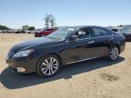 2010 Lexus Es 350 for Sale in San Martin, CA - Rear End