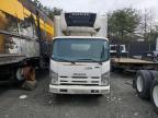 2012 Isuzu Nqr  for Sale in Waldorf, MD - All Over