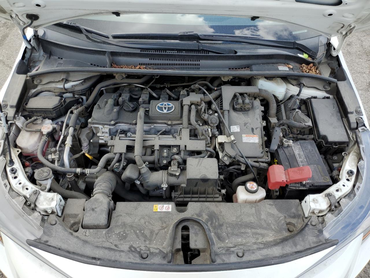 2021 Toyota Corolla Le VIN: JTDEAMDE0MJ012990 Lot: 51616815