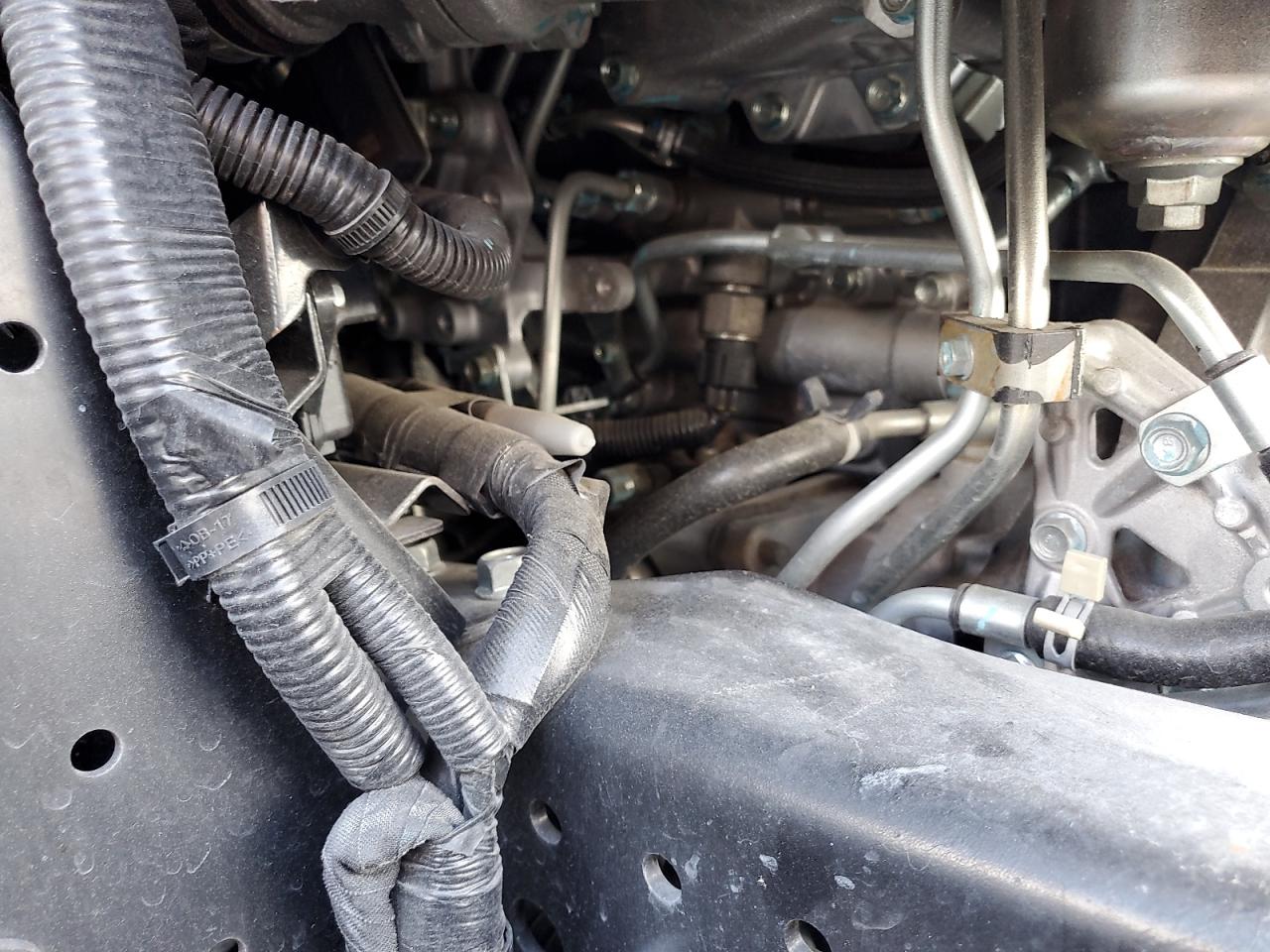 2025 Isuzu Npr Hd VIN: JALC4W164S7022888 Lot: 54324805