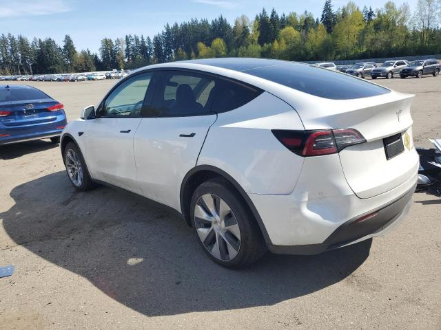  TESLA MODEL Y 2023 White