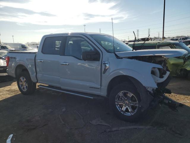  FORD F-150 2023 Белый