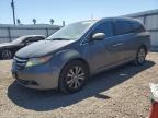 2015 Honda Odyssey Exl na sprzedaż w Mercedes, TX - Water/Flood