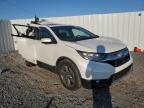 2018 Honda Cr-V Exl for Sale in Riverview, FL - All Over
