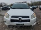 2009 Toyota Rav4 Limited for Sale in Oklahoma City, OK - Hail