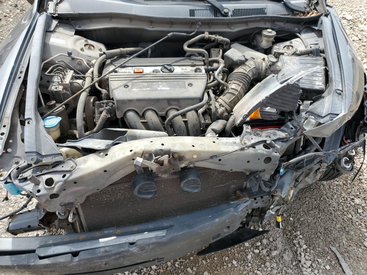 2009 Honda Accord Lxp VIN: 1HGCP26429A043018 Lot: 55117525