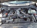 2024 Ford F250 Super Duty na sprzedaż w Woodhaven, MI - Rear End