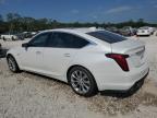 2023 Cadillac Ct5 Premium Luxury للبيع في Houston، TX - Water/Flood