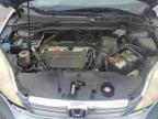 2009 Honda Cr-V Ex na sprzedaż w Harleyville, SC - Rear End