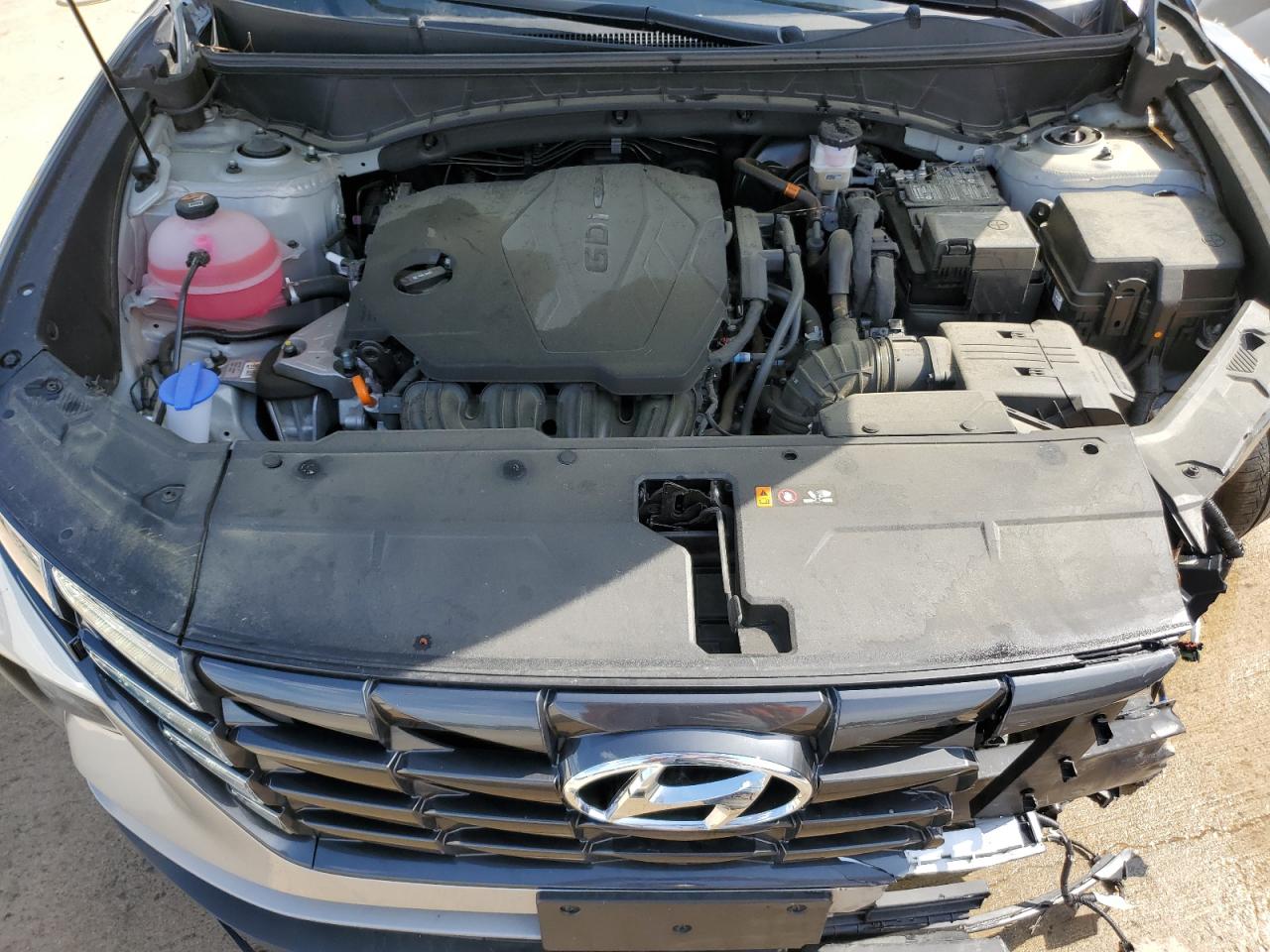 2024 Hyundai Tucson Sel VIN: 5NMJB3DE3RH397464 Lot: 55060755