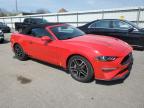 2021 Ford Mustang  იყიდება Glassboro-ში, NJ - Rear End