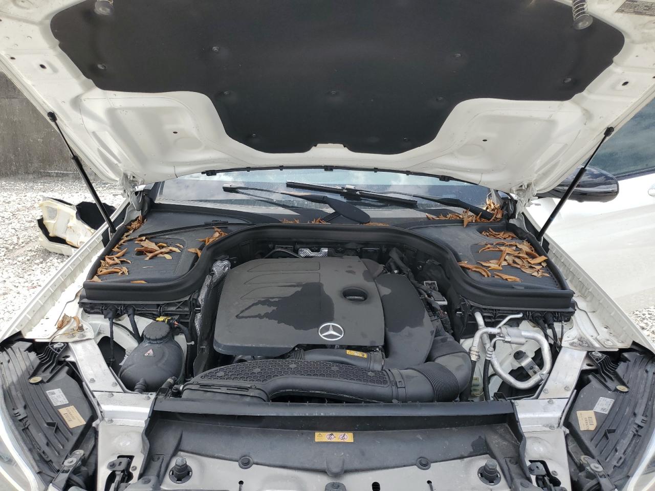 2022 Mercedes-Benz Glc Coupe 300 4Matic VIN: W1N0J8EB2NG056213 Lot: 53432645