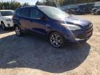 2013 Ford Escape Sel for Sale in Charles City, VA - Side