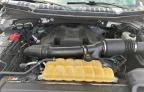 2017 FORD F150 SUPERCREW for sale at Copart FL - JACKSONVILLE NORTH