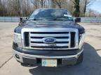 2012 Ford F150  for Sale in Glassboro, NJ - Front End