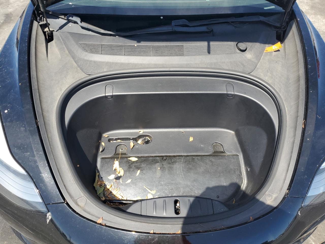 2019 Tesla Model 3 VIN: 5YJ3E1EA5KF304922 Lot: 51190485