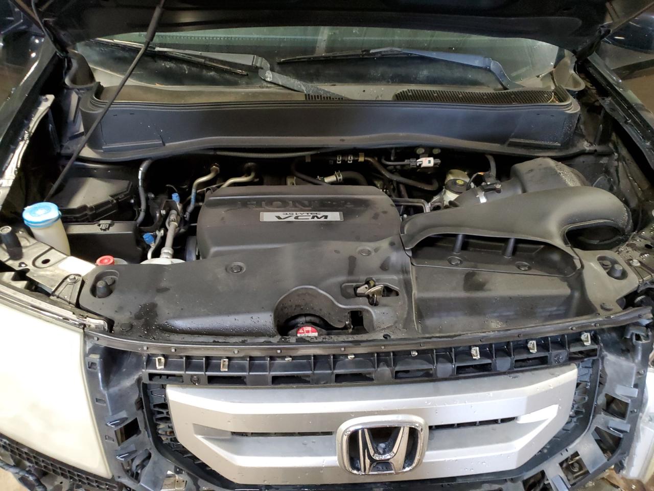 2009 Honda Pilot Exl VIN: 5FNYF48519B017526 Lot: 52341745