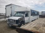 2014 Ford Econoline E450 Super Duty Cutaway Van for Sale in Cicero, IN - Front End
