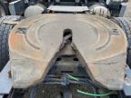 2019 Freightliner Cascadia 125 Semi Truck for Sale in Brighton, CO - Normal Wear