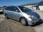 2010 Honda Odyssey Exl zu verkaufen in Louisville, KY - Hail