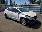 2017 Kia Forte Lx de vânzare în Miami, FL - Front End
