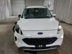 2021 Ford Escape Sel იყიდება Albany-ში, NY - Front End