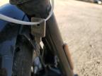 Tanner, AL에서 판매 중인 2020 Harley-Davidson Xl883 N - All Over