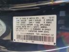 2008 Honda Accord Exl იყიდება Brookhaven-ში, NY - Minor Dent/Scratches