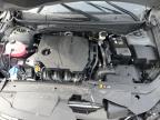 2025 Hyundai Santa Cruz Sel zu verkaufen in Chicago Heights, IL - Rollover