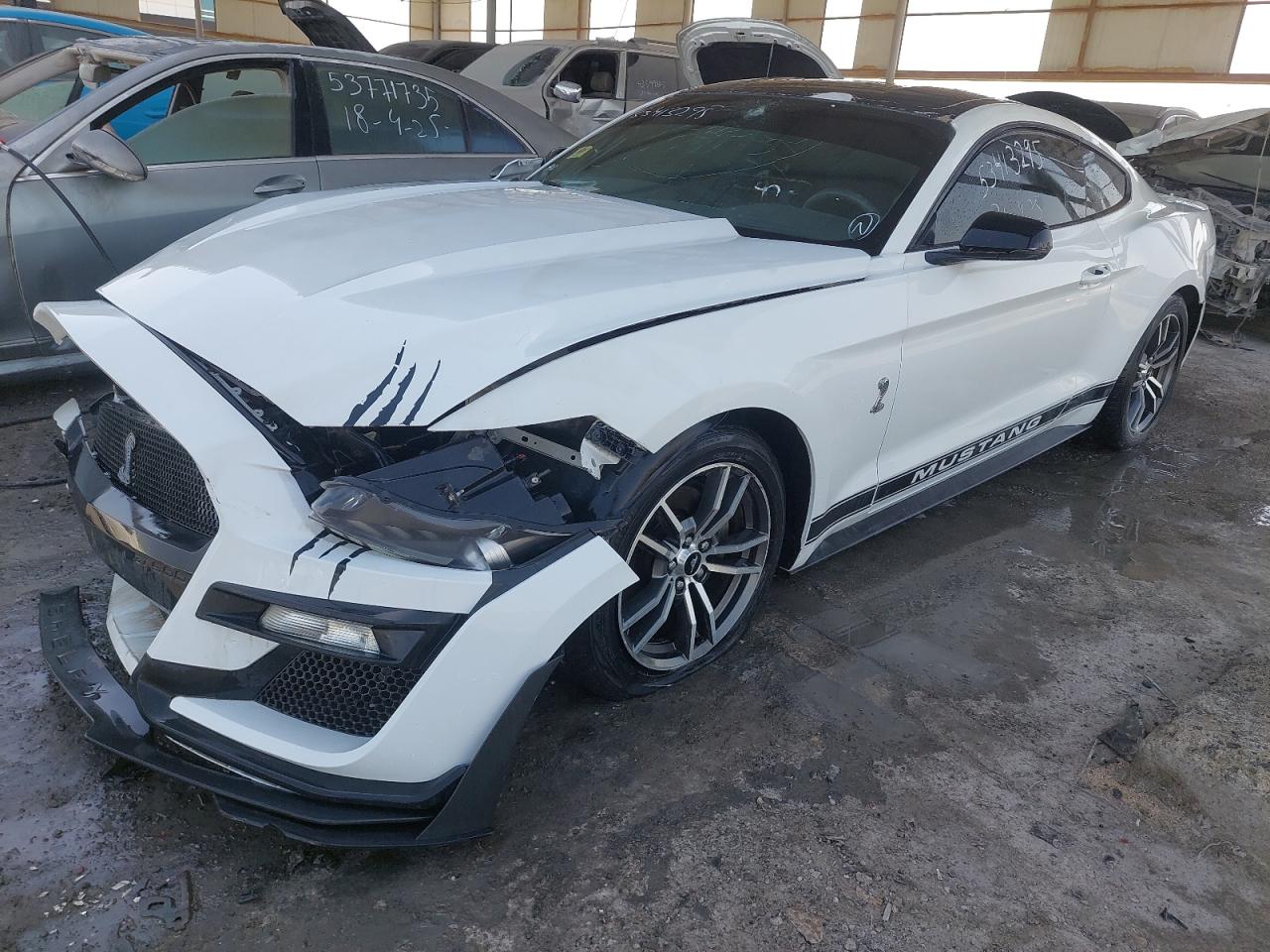 1FA6P8TH8H5295245 - 2017 Ford MUSTANG - #undefined