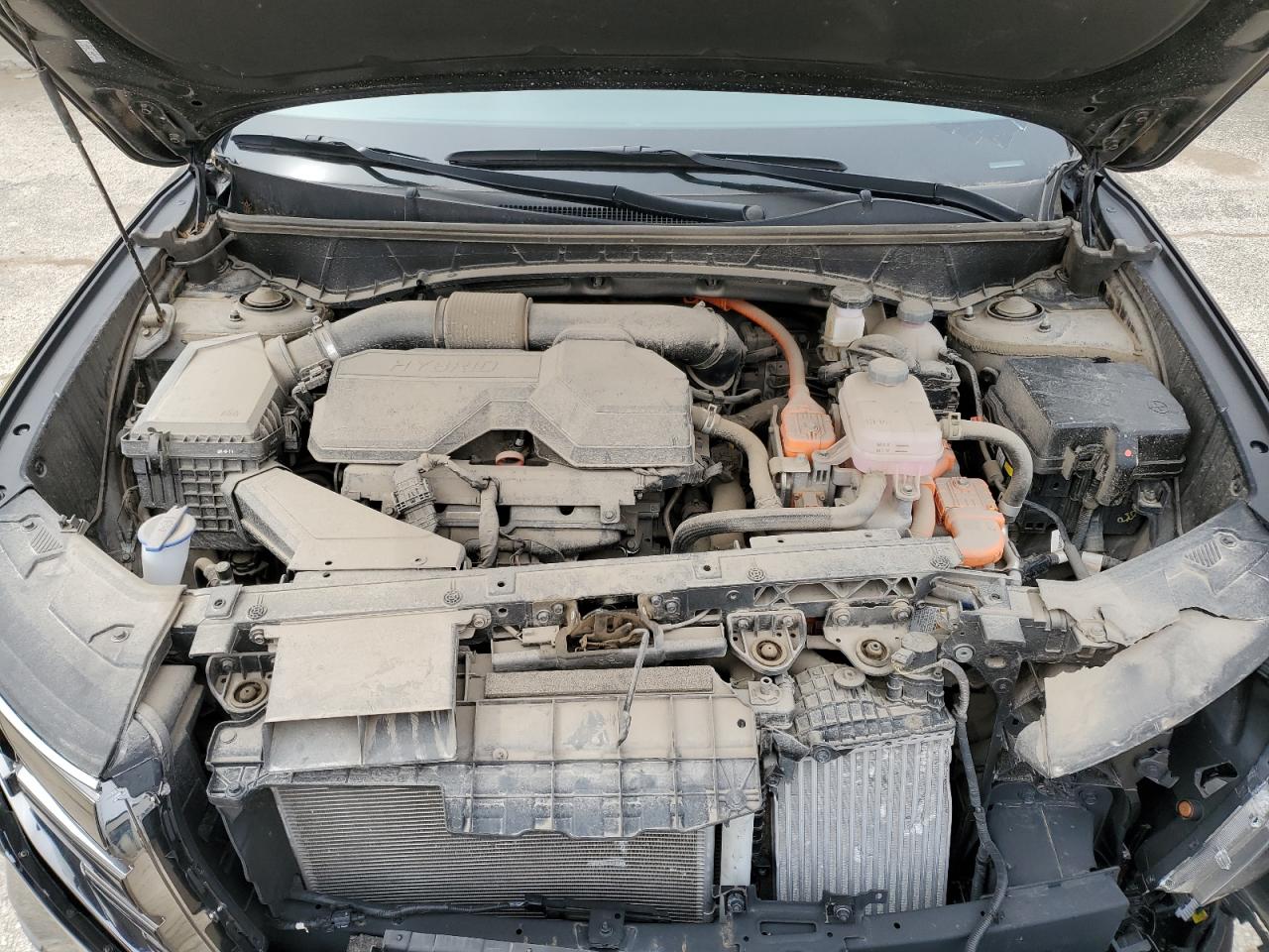 2024 Hyundai Tucson Limited VIN: KM8JECD14RU148955 Lot: 51633415