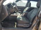 2011 Ford Escape Xlt na sprzedaż w Brighton, CO - Hail